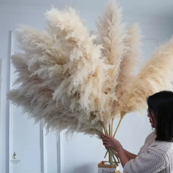 Plume de pampa décorative naturelle