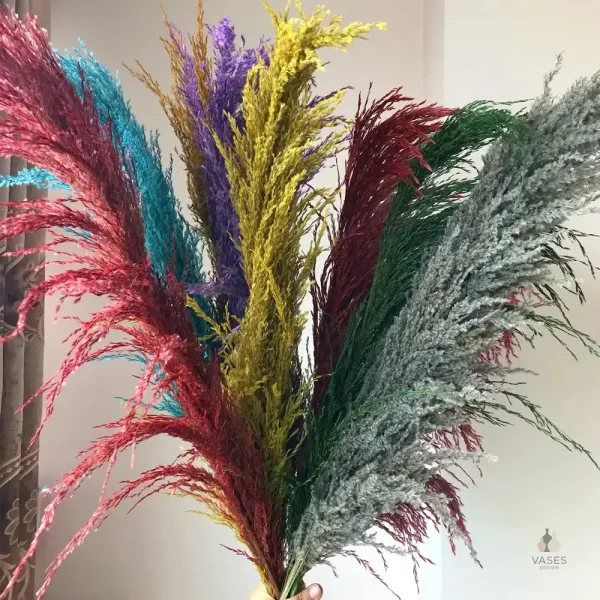 Herbe de la pampa, ajout tendance à votre déco