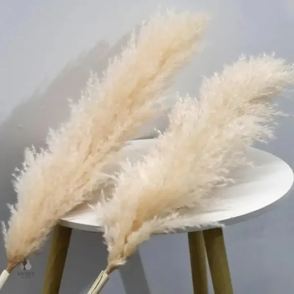 Accessoire en herbe de la pampa pour décoration intérieure
