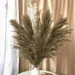 Élément décoratif en herbe de la pampa