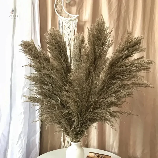 Élément décoratif en herbe de la pampa