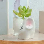 Pot de fleur en forme d'animaux