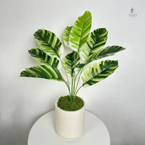 Vase en céramique blanche pour décoration intérieure