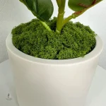 Pot de fleurs en céramique pour intérieur moderne