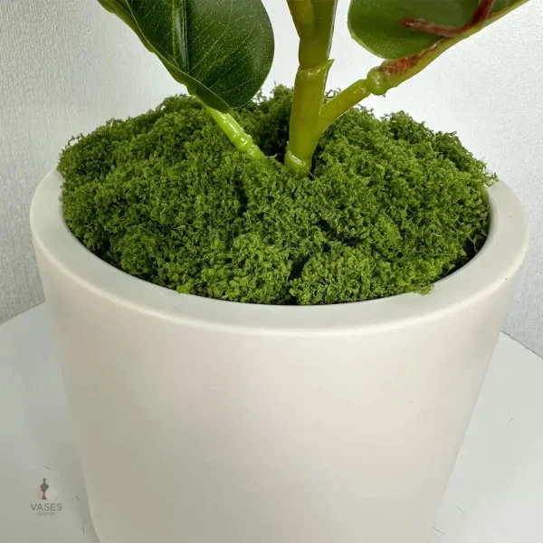 Pot de fleurs en céramique pour intérieur moderne