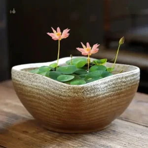 Pot décoratif pour plantes d'intérieur moderne