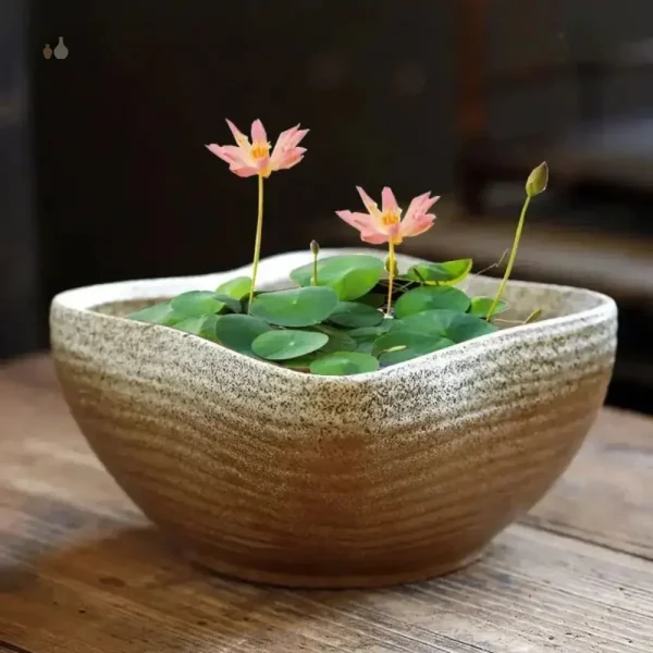 Pot décoratif pour plantes d'intérieur moderne