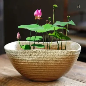 Contenant à fleurs pour embellir votre intérieur
