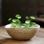 Vase décoratif pour pots de fleurs d'intérieur