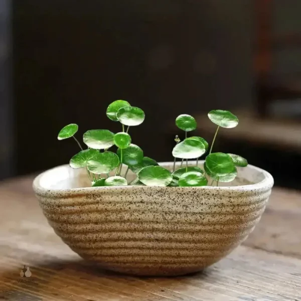 Vase décoratif pour pots de fleurs d'intérieur