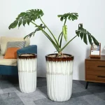 Grand pot de fleur moderne en taille XXL pour plantes