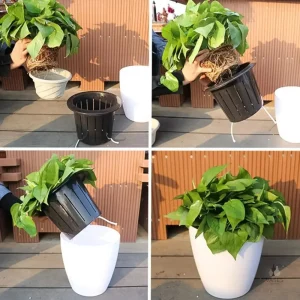 Vase extérieur blanc pour plantes