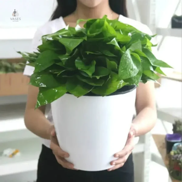 Pot de jardin blanc élégant