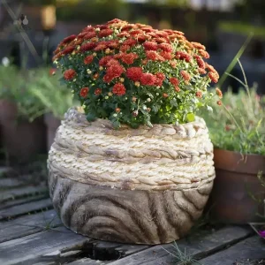 Pot de fleur extérieur moderne en style épuré