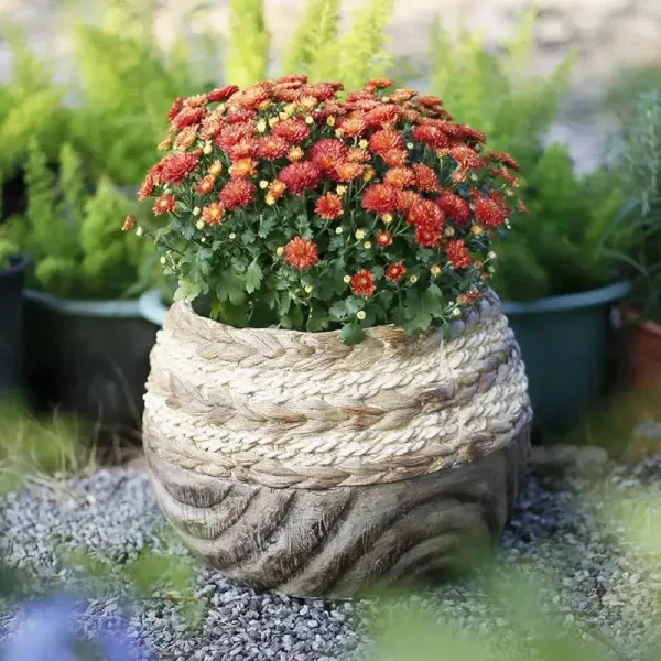 Vase d'extérieur en matériaux durables