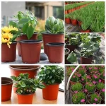 Accessoire de jardin en plastique pratique et esthétique
