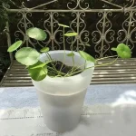 Pot de fleur extérieur avec éclairage intégré