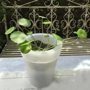 Pot de fleur extérieur avec éclairage intégré