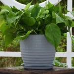 Pot de fleur extérieur économique