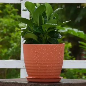 Pot de fleur pour jardin à petit prix