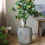 Vase décoratif pour plantes d'intérieur