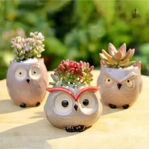 Pot de fleur en forme de hibou, design charmant