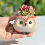 Hibou en pot pour ajouter une touche ludique à votre déco