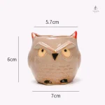 Pot de fleur amusant hibou, idéal pour les enfants