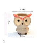 Hibou en pot, parfait pour les petites plantes succulentes