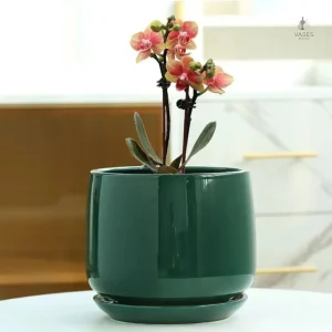 Vase décoratif en céramique pour plantes d'intérieur