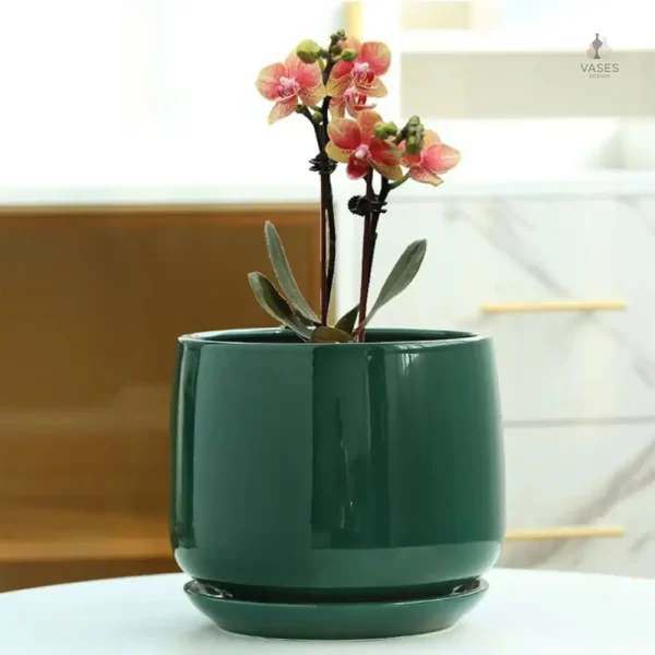 Vase décoratif en céramique pour plantes d'intérieur