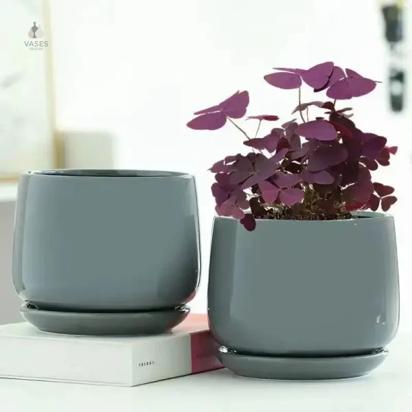 Pot de fleurs en céramique pour espace de vie