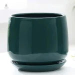 Vase céramique pour plantes vertes d'intérieur