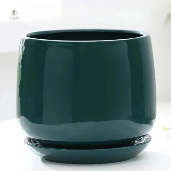 Vase céramique pour plantes vertes d'intérieur