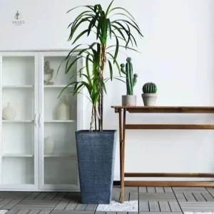 Grand pot de fleur intérieur pour plantes d'intérieur