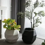 Pot de fleur intérieur design et original