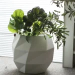 Accessoire de décoration pour plantes à l'intérieur