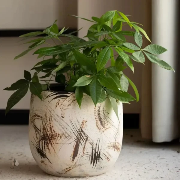 Conteneur élégant pour décoration végétale
