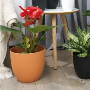 Pot de fleur rond en plastique