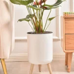Pot de fleur sur pied blanc