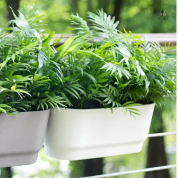 Accessoire de jardinage pour plantes d'extérieur