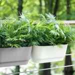 Accessoire décoratif : pot suspendu blanc pour plantes
