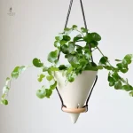 Pot de fleur suspendu élégant pour décoration intérieure