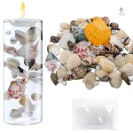Vase chic en coquillage pour une touche naturelle