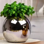 Vase boule décoratif en argent, design contemporain