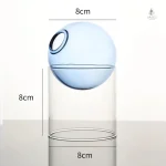 Vase boule en verre pour plantes