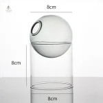 Vase en verre rond pour décoration intérieure