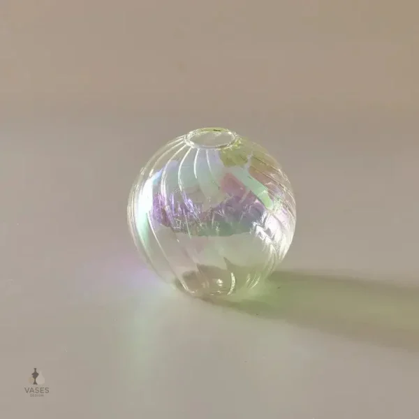 Vase en verre rond, idéal pour fleurs et plantes