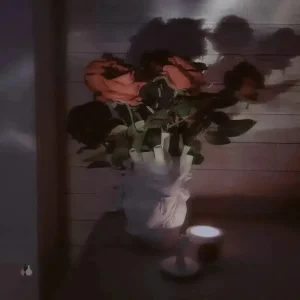 Vase coeur original pour une décoration unique