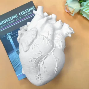 Vase créatif représentant un coeur anatomique